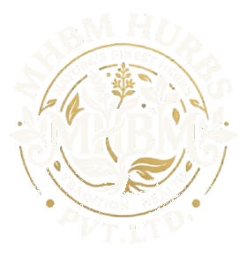 MHBM HURBS PVT. LTD.