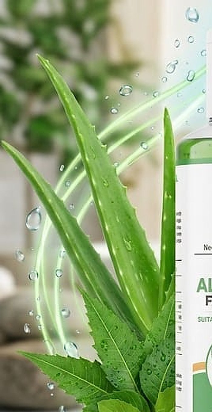 Fresh aloe vera and neem leaves